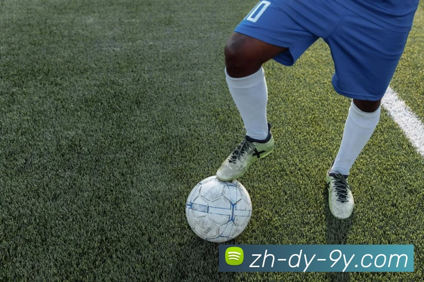 多媒体互动体验